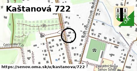 Kaštanová 722, Šenov