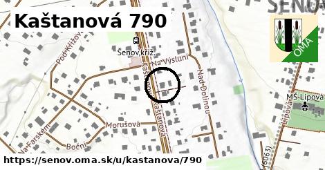 Kaštanová 790, Šenov