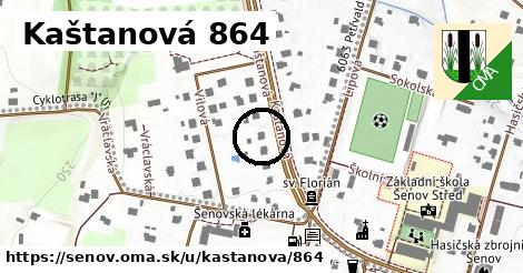 Kaštanová 864, Šenov