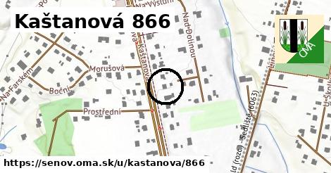 Kaštanová 866, Šenov