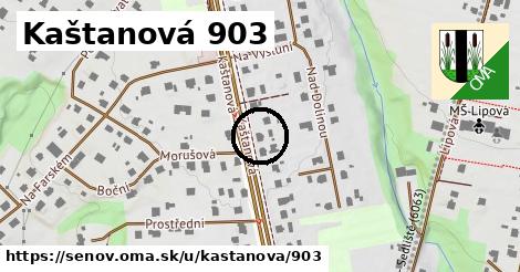 Kaštanová 903, Šenov