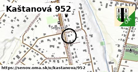 Kaštanová 952, Šenov