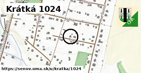 Krátká 1024, Šenov