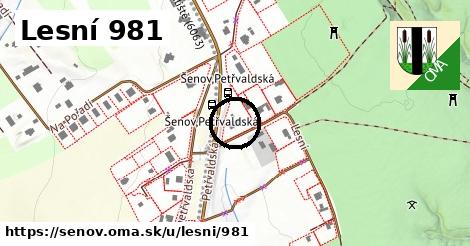 Lesní 981, Šenov