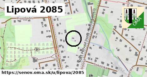 Lipová 2085, Šenov