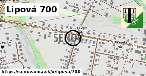 Lipová 700, Šenov