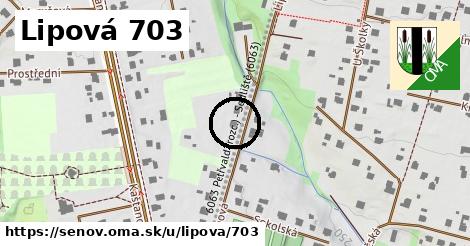 Lipová 703, Šenov