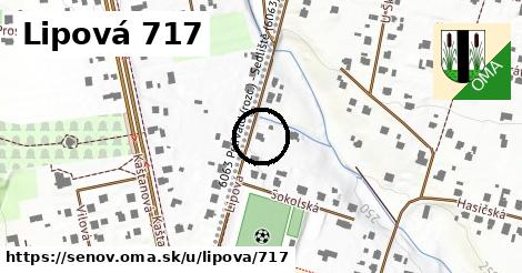 Lipová 717, Šenov