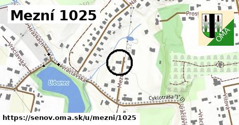 Mezní 1025, Šenov
