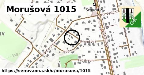 Morušová 1015, Šenov