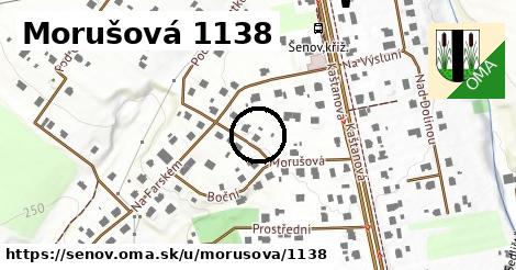Morušová 1138, Šenov