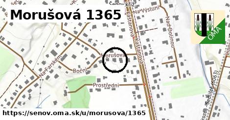 Morušová 1365, Šenov