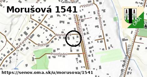 Morušová 1541, Šenov