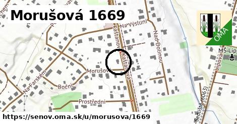 Morušová 1669, Šenov