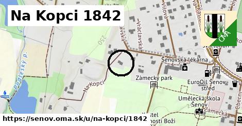 Na Kopci 1842, Šenov