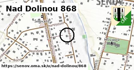 Nad Dolinou 868, Šenov