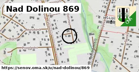 Nad Dolinou 869, Šenov