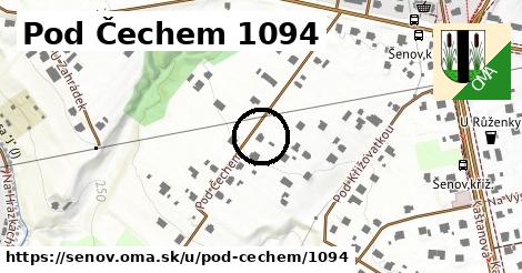 Pod Čechem 1094, Šenov