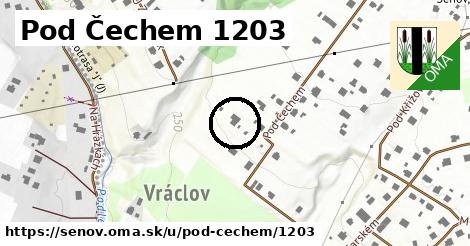 Pod Čechem 1203, Šenov