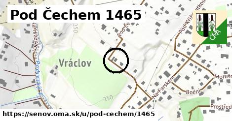 Pod Čechem 1465, Šenov