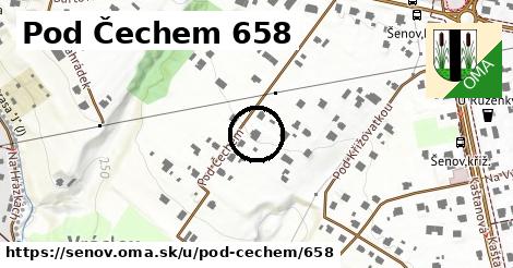 Pod Čechem 658, Šenov