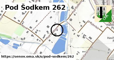 Pod Šodkem 262, Šenov