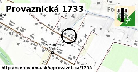 Provaznická 1733, Šenov