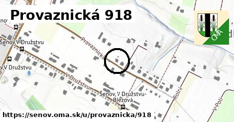 Provaznická 918, Šenov