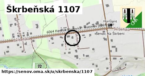 Škrbeňská 1107, Šenov