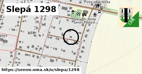 Slepá 1298, Šenov