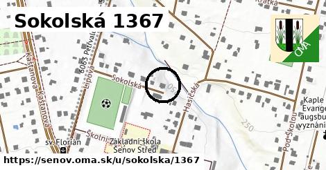 Sokolská 1367, Šenov