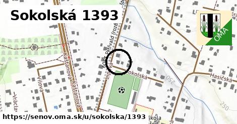 Sokolská 1393, Šenov