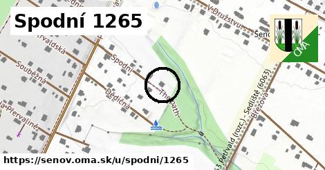 Spodní 1265, Šenov