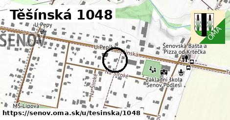 Těšínská 1048, Šenov