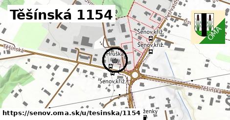 Těšínská 1154, Šenov