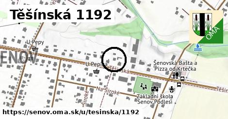 Těšínská 1192, Šenov