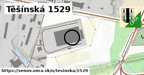 Těšínská 1529, Šenov