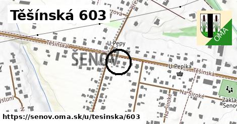 Těšínská 603, Šenov