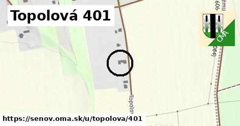 Topolová 401, Šenov