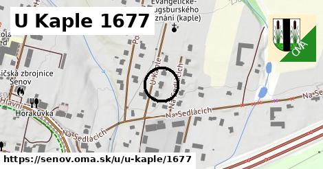 U Kaple 1677, Šenov