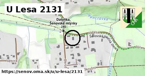 U Lesa 2131, Šenov