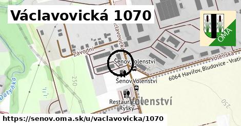 Václavovická 1070, Šenov