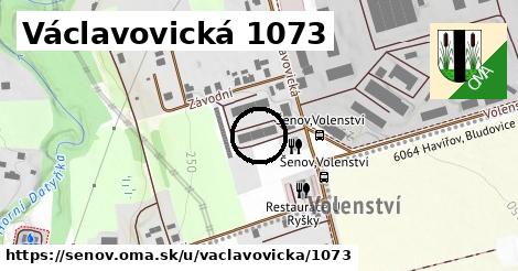 Václavovická 1073, Šenov