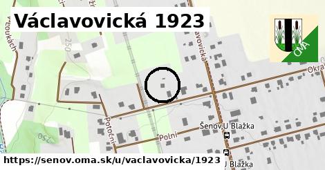 Václavovická 1923, Šenov