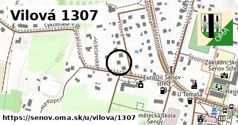 Vilová 1307, Šenov