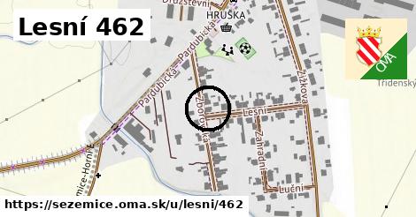 Lesní 462, Sezemice