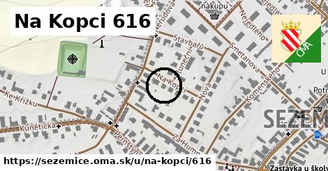 Na Kopci 616, Sezemice