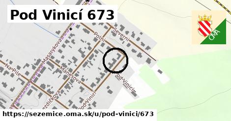 Pod Vinicí 673, Sezemice