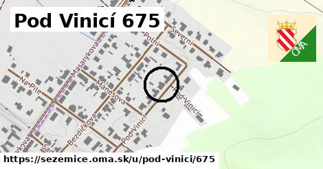 Pod Vinicí 675, Sezemice