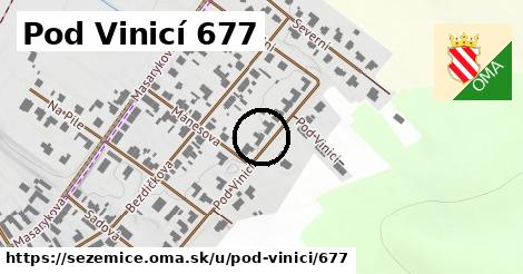 Pod Vinicí 677, Sezemice